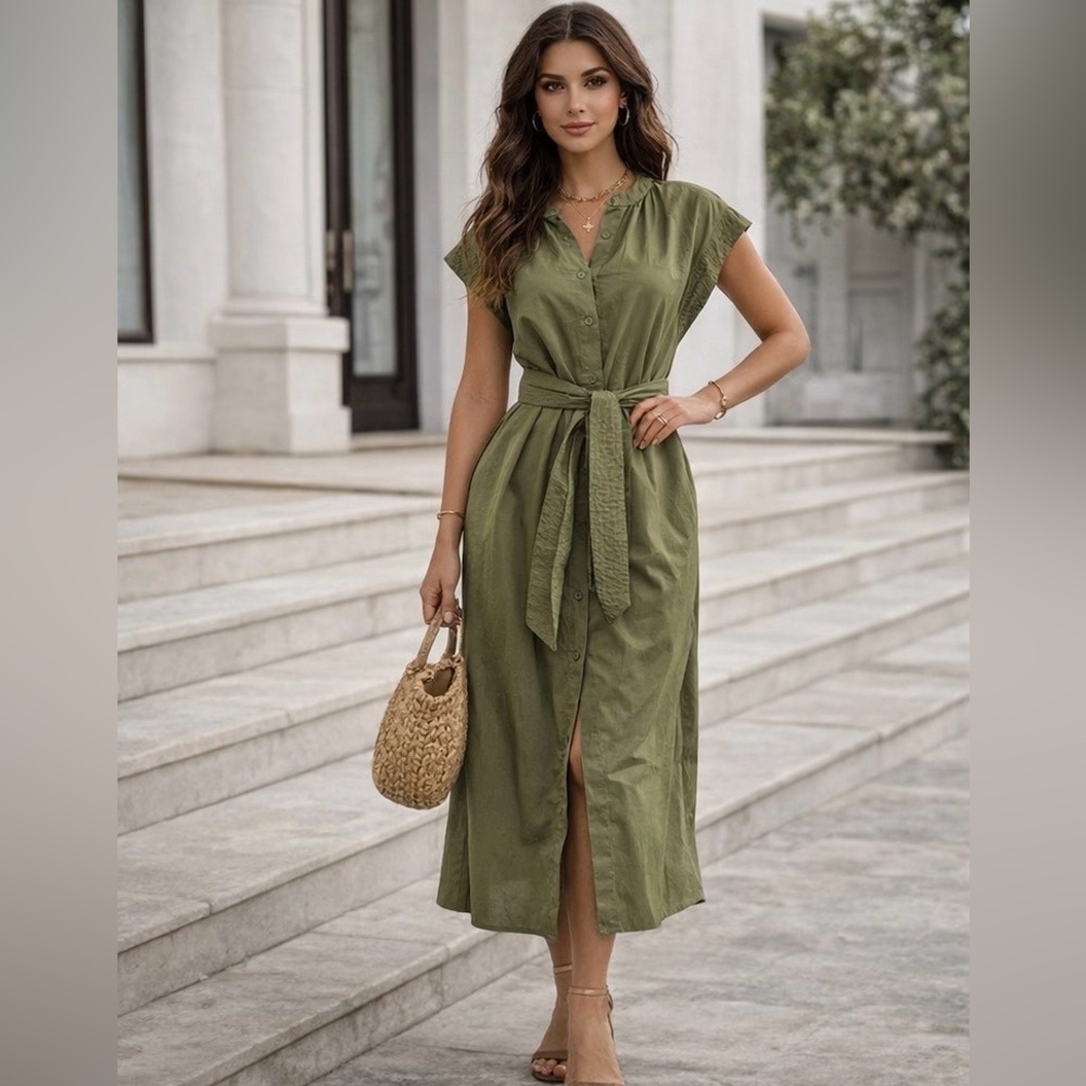 Deluc Cancela Mandarin Collar Dress NWT